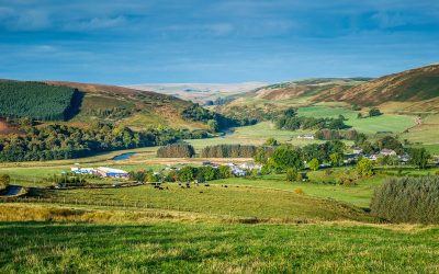 Alwinton Show Dog friendly country pub in Northumberland - Harbottle - Harbottle Village - Northumberland National Park