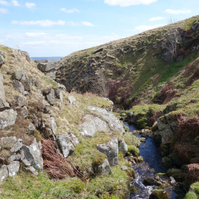 Dog friendly country pub in Northumberland - Harbottle - Harbottle Village - Northumberland National Park