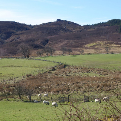 Looking towards the Drake Stone Dog friendly country pub in Northumberland - Harbottle - Drake Stone - Northumberland National Park