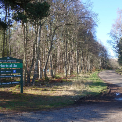 Harbottle Woods Dog friendly country pub in Northumberland - Harbottle - woodland walks - Northumberland National Park