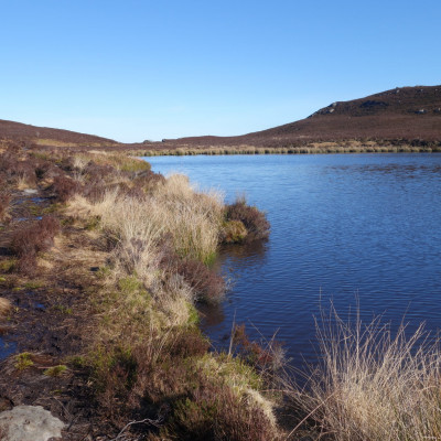 Harbottle Lake Dog friendly country pub in Northumberland - Harbottle - Harbottle lake - Northumberland National Park
