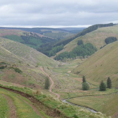Dog friendly country pub in Northumberland - Harbottle - Harbottle Village - Northumberland National Park