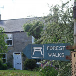 Holystone forest walks Dog friendly country pub in Northumberland - Harbottle - Harbottle Village - Northumberland National Park