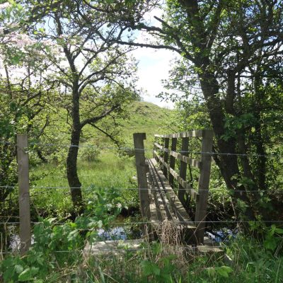 Dog friendly country pub in Northumberland - Harbottle - Harbottle Village - Northumberland National Park