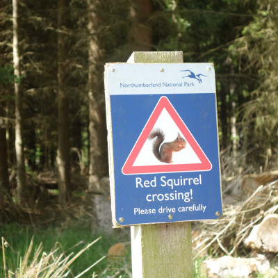 Dog friendly country pub in Northumberland - Harbottle - Harbottle Village - Northumberland National Park