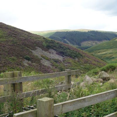 Dog friendly country pub in Northumberland - Harbottle - Harbottle Village - Northumberland National Park