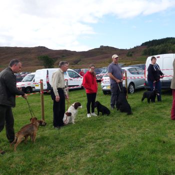 Dog friendly country pub in Northumberland - Harbottle - Harbottle Village - Northumberland National Park - Harbottle Show