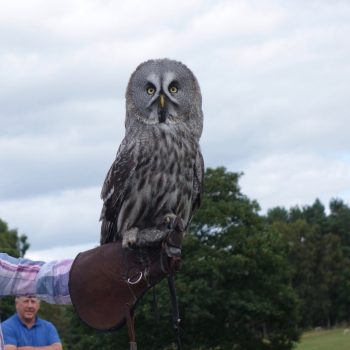 Dog friendly country pub in Northumberland - Harbottle - Harbottle Village - Northumberland National Park - Harbottle Show