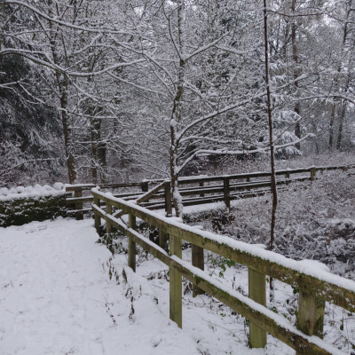 Riverside walks in the snow Dog friendly country pub in Northumberland - Harbottle - riverside walks - Northumberland National Park