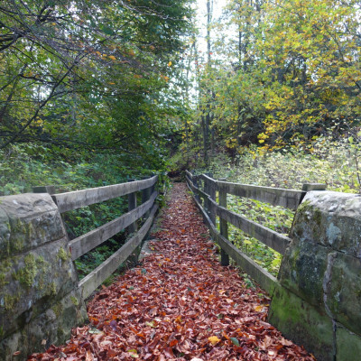 Dog friendly country pub in Northumberland - Harbottle - Harbottle Village - Northumberland National Park