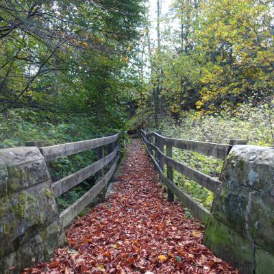 Dog friendly country pub in Northumberland - Harbottle - Harbottle Village - Northumberland National Park