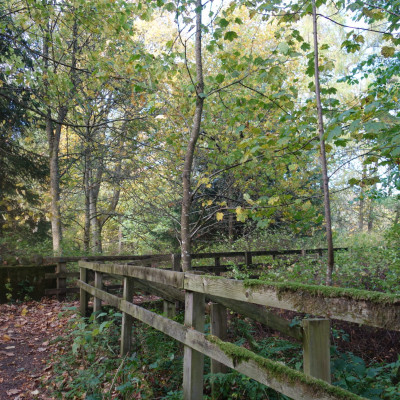 River Coquet - riverside walls Dog friendly country pub in Northumberland - Harbottle - River Coquet walks - Northumberland National Park