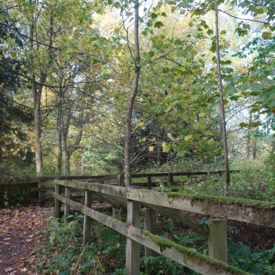 River Coquet - riverside walls Dog friendly country pub in Northumberland - Harbottle - River Coquet walks - Northumberland National Park