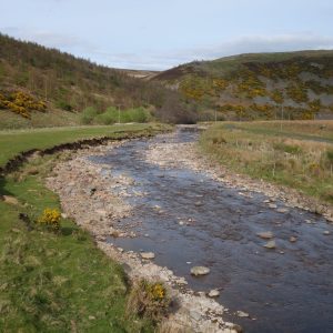 River Breamish