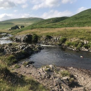 River Coquet