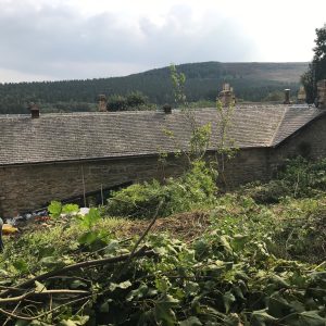 Dog friendly country pub in Northumberland - Harbottle - Harbottle Village - Northumberland National Park
