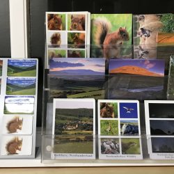 Dog friendly country pub and shop in Northumberland - Harbottle - Harbottle Village - Northumberland National Park
