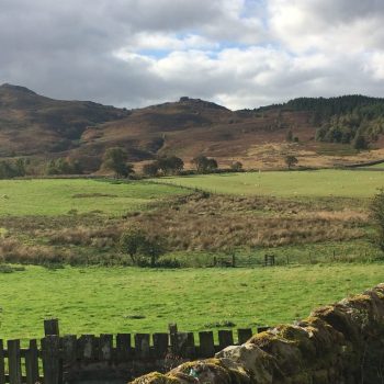 Dog friendly country pub in Northumberland - Harbottle - Harbottle Village - Northumberland National Park - Harbottle Show