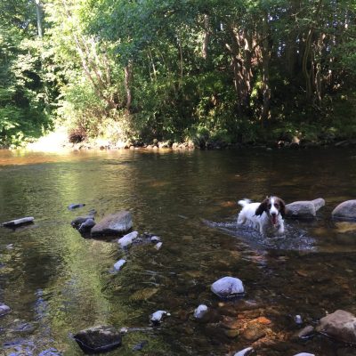 Dog friendly country pub in Northumberland - Harbottle - Harbottle Village - Northumberland National Park